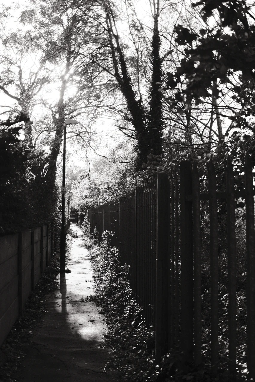 Sunlight catches a narrow footpath between a fence and railings beneath tall trees. Black and white photograph by Mark C Grant.