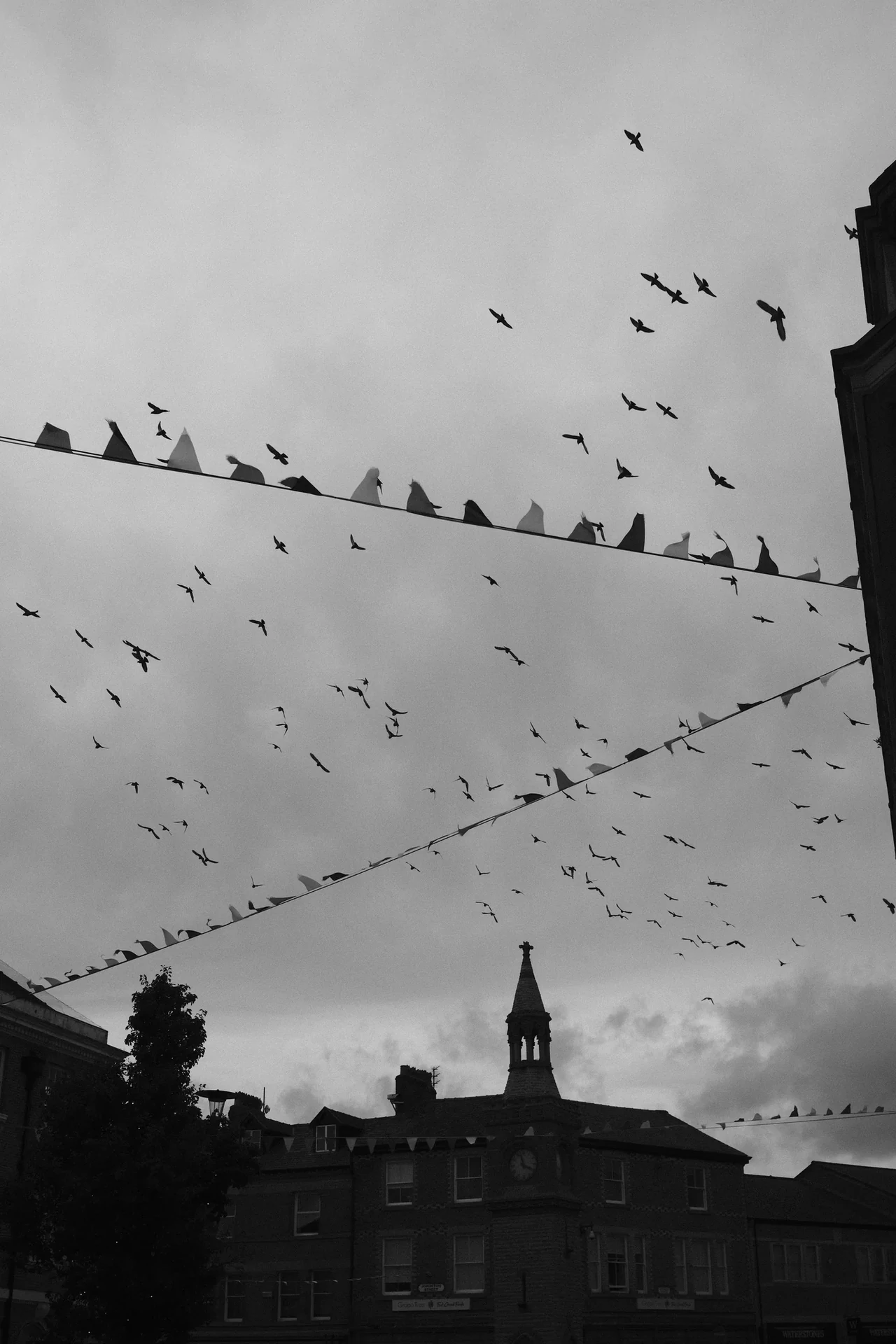 Birds gather and take flight above strings of bunting and a silhouetted roofline. Black and white photograph by Mark C Grant.
