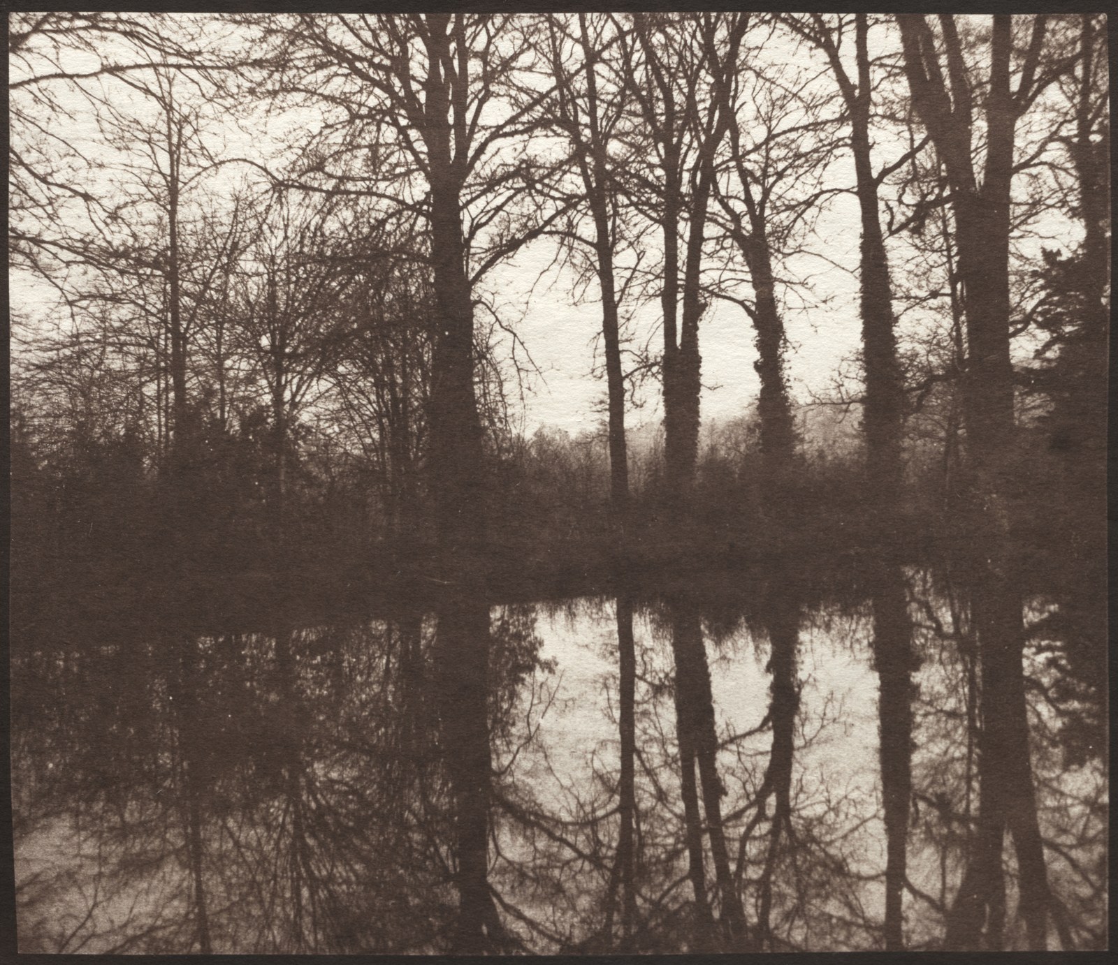 Leafless trees along a pond are reflected upside down in still water, forming a dense web of dark trunks and branches.