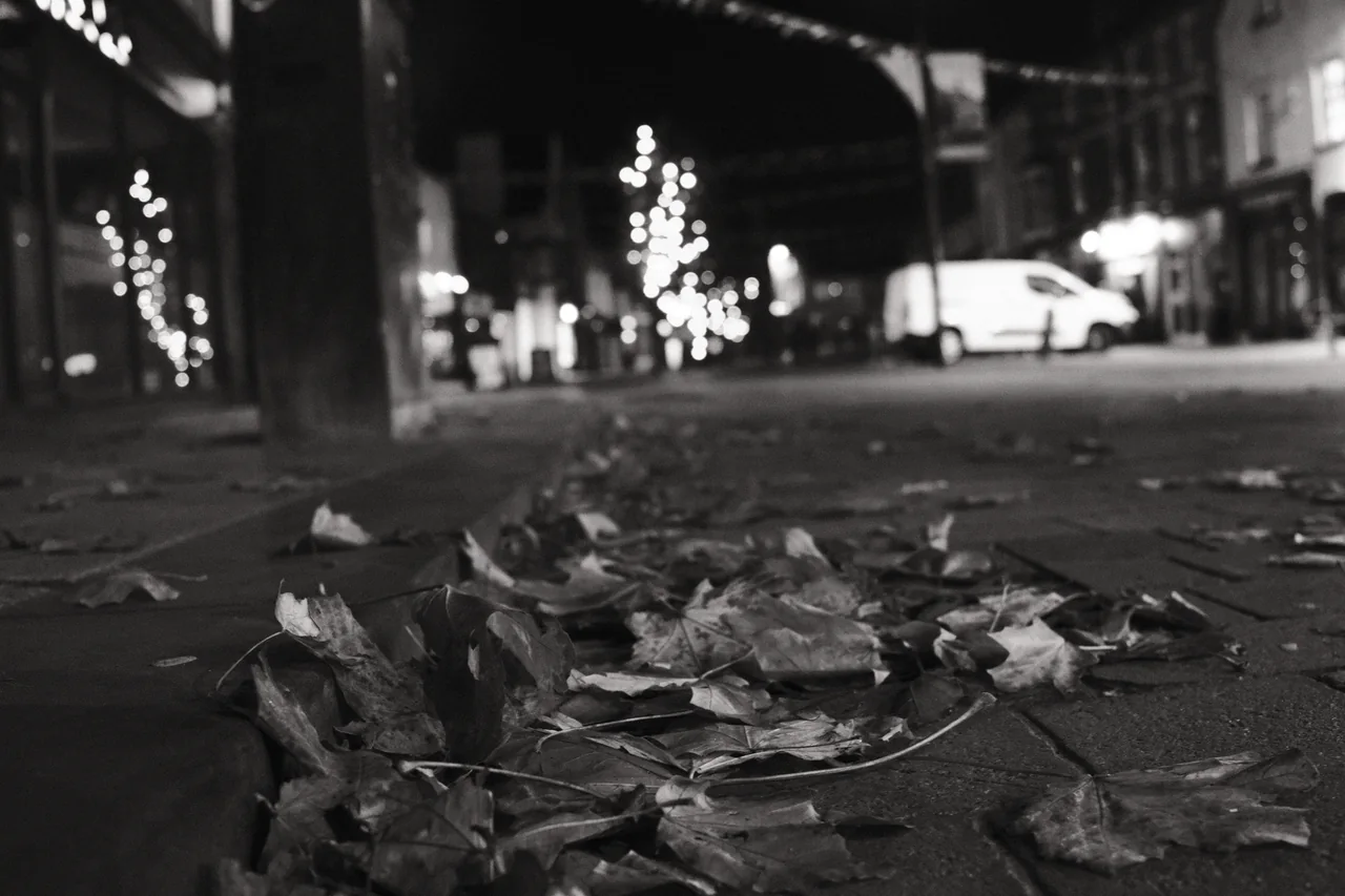 Fallen leaves fill the foreground beneath blurred street lights and a white van in Ormskirk. Black and white photograph by Mark C Grant.