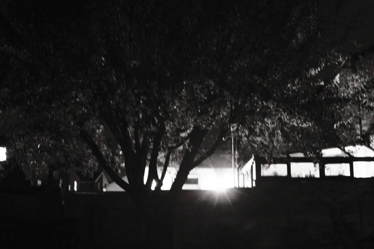 A branching tree forms a dark silhouette against a low illuminated building at night. Black and white photograph by Mark C Grant.